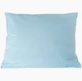 Bed Pillow 18 X 24