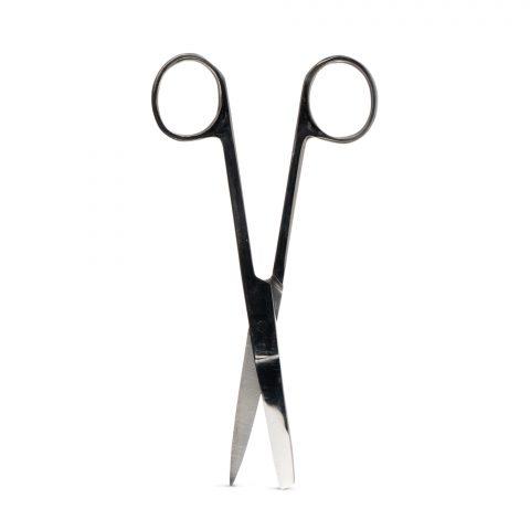 Scissors, 5.5″